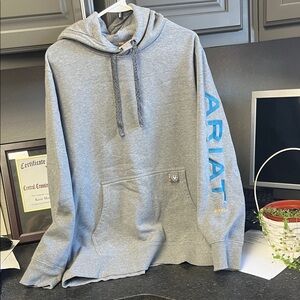 Ariat Men's Gray Hoodie with Blue Accents